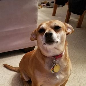 Meet your Posher, Mrs.